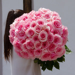 Exquisite Pink Long Stem Roses [40Boxes Exclusive]