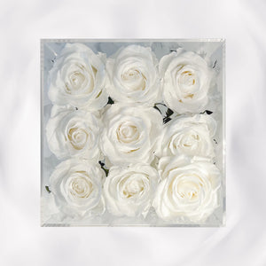 La Trésor | White Preserved Roses