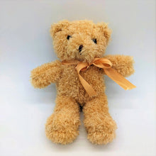 Sand colored teddy bear
